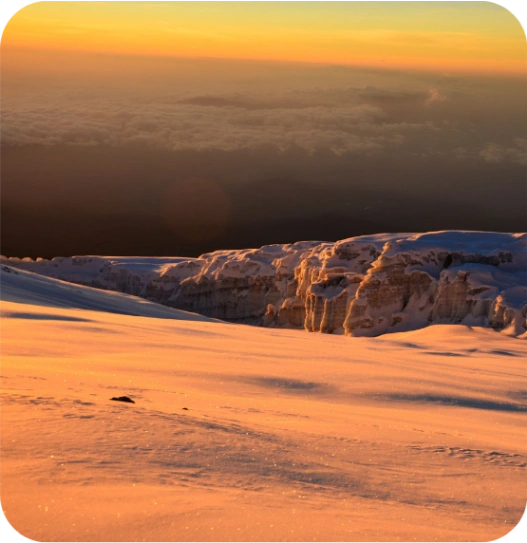 Pourquoi choisir OneWeb